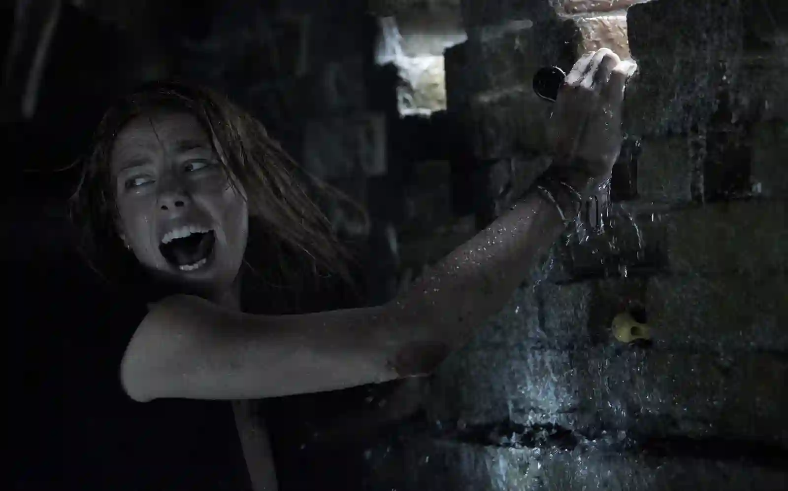 ‘Crawl 2’ Set for Production in the Fall with New Cast, New Location ...