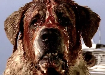 Stephen King’s Classic Novel ‘Cujo’ Being Adapted into New Film for Netflix