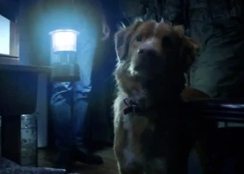 ‘Good Boy’ Review
